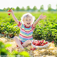 Rote Vitamingranaten: Sommerzeit – Erdbeerzeit!